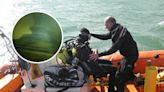 Diver discovers bronze cannon from 17th-century warship off Southend Pier