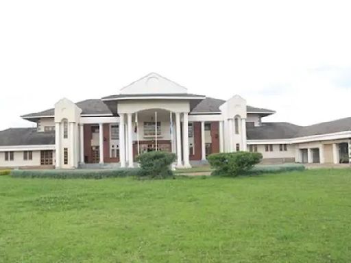 I want something smaller, Harare Mayor Mafume rejects mayoral mansion | Zw News Zimbabwe