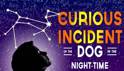 Curious Incident of the Dog in the Night Time in Appleton, WI at The Forst Inn Arts Collective 2024