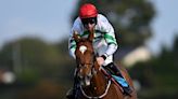 Galway Races Day 3: Wayne Bailey marks your card as Zanahiyr primed to deliver fifth Plate triumph for Gordon Elliott