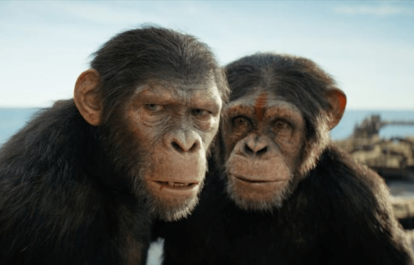 Kingdom of the Planet of The Apes Smashes Box Office Expectations