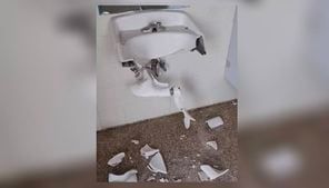 Nature reserve restroom closed due to vandalism in Greene County