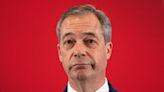 Embrace Farage call 'tosh' - ex-Welsh Tory leader