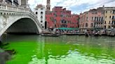 Why did this Venice canal turn fluorescent green?