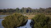 Los expertos de la UICN evaluarán el regreso de Doñana a su Lista Verde