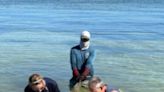 Biologists rescue sick sawfish, hoping for clues in Florida Keys fish-kill mystery