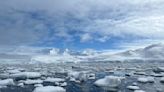 Antarctica is beautiful – but fishing and plastic pollution are changing it