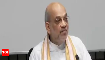 Local administration providing all possible treatment to injured: Amit Shah on Unnao accident | India News - Times of India