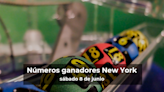 Lotería de Nueva York en vivo: resultados y ganadores del sábado 8 de junio de 2024 - El Diario NY
