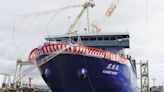 Japan whaler operator says it has no plan to hunt in Antarctic