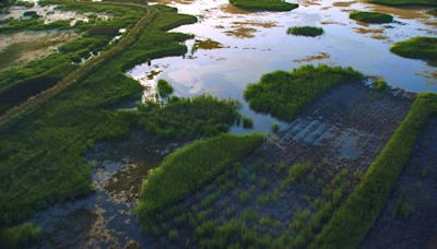 Merced River Watershed Flood-MAR Reconnaissance Study, A First-of-its-Kind Watershed Study Highlights How Innovative Tools Help...