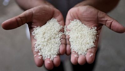 Global rice prices drop after India allows white rice exports