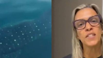 Impactante video: un tiburón ballena, el pez más grande del mundo, sorprendió a una nadadora en Brasil
