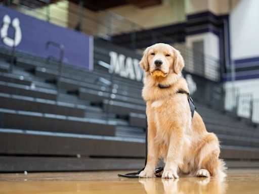 Governor and First Lady Justice welcome new therapy dog at James Monroe High School
