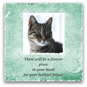 cat sympathy card