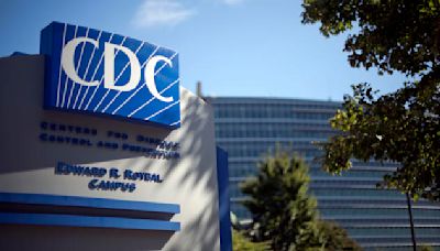 CDC says bird flu viruses "pose pandemic potential," cites major knowledge gaps