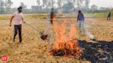 Haryana, Punjab aiming for zero farm fires: Govt to SC