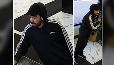 Robbery suspect sought by police in Ottawa's west-end