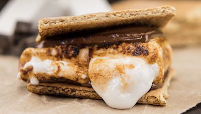 The Graham Cracker Swap For Sweet And Salty S'mores