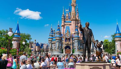 Do You Need a Fixer for Your Disney Vacation?