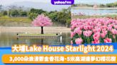 情人節好去處2024｜大埔Lake House Starlight 2024 3,000朵浪漫鬱金香花海、5米高湖邊夢幻櫻花樹