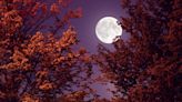 Full moons of 2024: Names, dates and everything you need to know