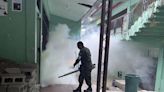 Honduras puede afrontar en 2024 una epidemia de dengue "más agresiva" que la de 2019