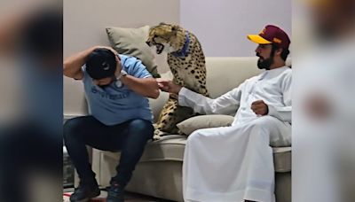 Video: Pakistan Influencer Attacked By Cheetah Kept At Home, Internet Reacts