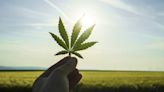 7 Cannabis Stocks to Sell as the Industry Faces Legal Uncertainty in 2024