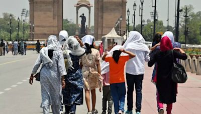 The burning capital: What’s driving Delhi's extreme heatwave? - Times of India