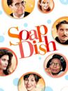 Soapdish