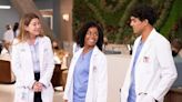 Don't Worry, 'Grey's Anatomy' Fans! ABC Already Renewed The Show for Season 21