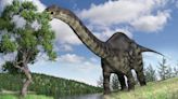 Why was the name 'Brontosaurus' brought back from the dead?