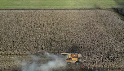 Argentina has surplus harvest but farmers want more from President Milei