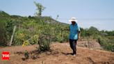 China warns prolonged heatwave may damage rice, cotton crops - Times of India