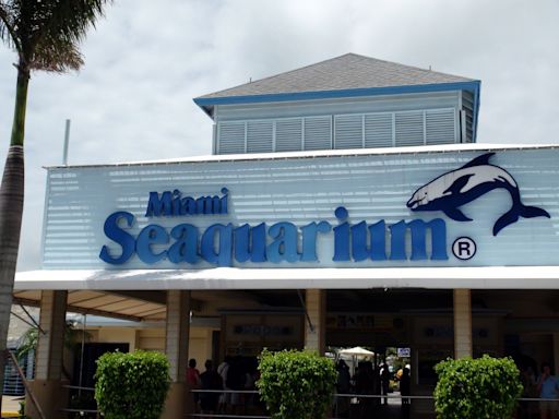 El Miami Seaquarium demanda al condado por la anulación del contrato de arrendamiento