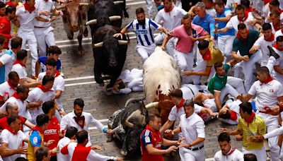 Pamplona bull-runners are tossed around and trampled