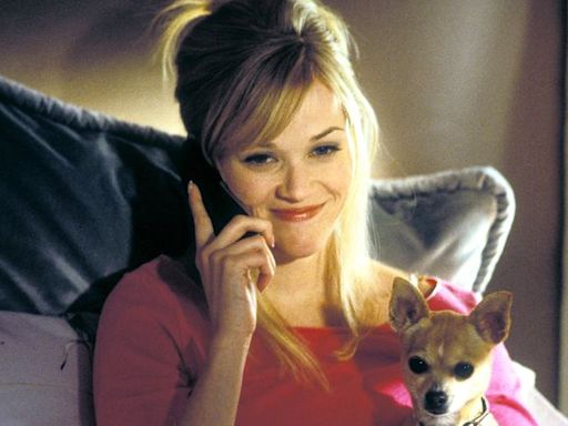 Reese Witherspoon producing “Legally Blonde ”prequel series about Elle Woods' high school years