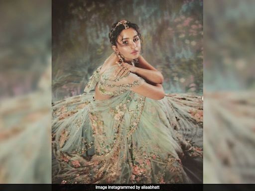 Met Gala 2024: Alia Bhatt Shares Celeb-Approved Pics Of Her Look - "Insane, Insane, Insane"