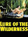 Lure of the Wilderness