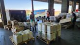 Cinco toneladas de agrotóxicos ilegais são apreendidas em Santa Catarina
