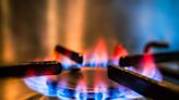 A New Study Finally Clarifies Whether It's Safe To Use a Gas Stove