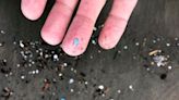 How bad are microplastics in New Hampshire? - The Boston Globe