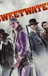 Sweetwater (2013 film)