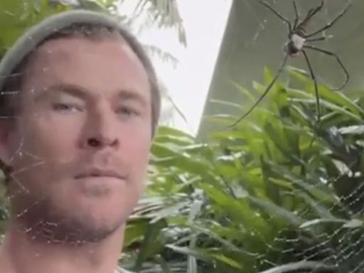 Chris Hemsworth Shares Close Encounter with Huge Spider and Jokes ‘Didn’t Even Scare Me’