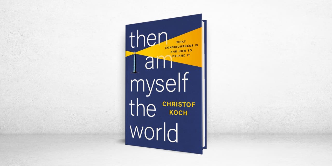 ‘Then I Am Myself the World’ Review: Thinking About Thinking