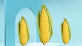 Is Corn Good For You? A Guide to The Health Benefits of Corn