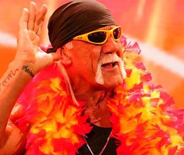 Video: Comedian Trolls Hulk Hogan Once Again - PWMania - Wrestling News