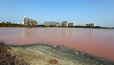 Lake levels surpass 50% but BMC officials say water cut to stay