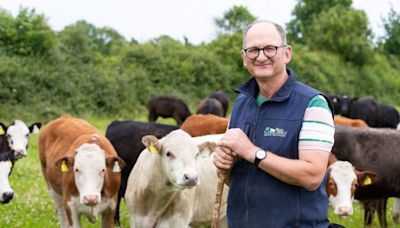 ‘Going organic isn’t about saving the world, it’s a good business decision’ – how this Offaly beef farmer has made the switch work for him